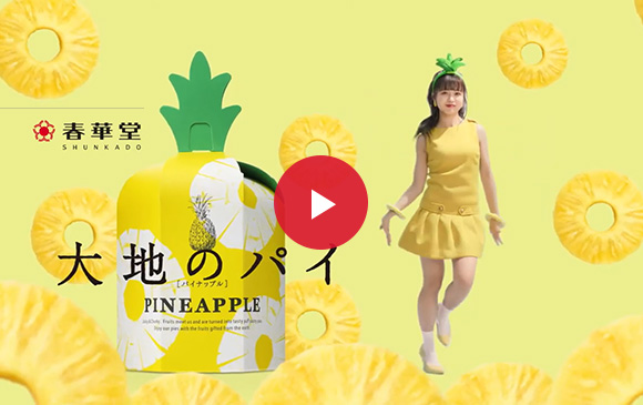 アドギャラリー お菓子 浜松のお菓子処 春華堂